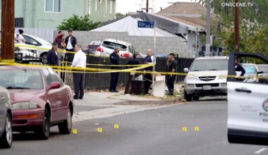 Bullet comes through window, killing L.A. mom as she sleeps