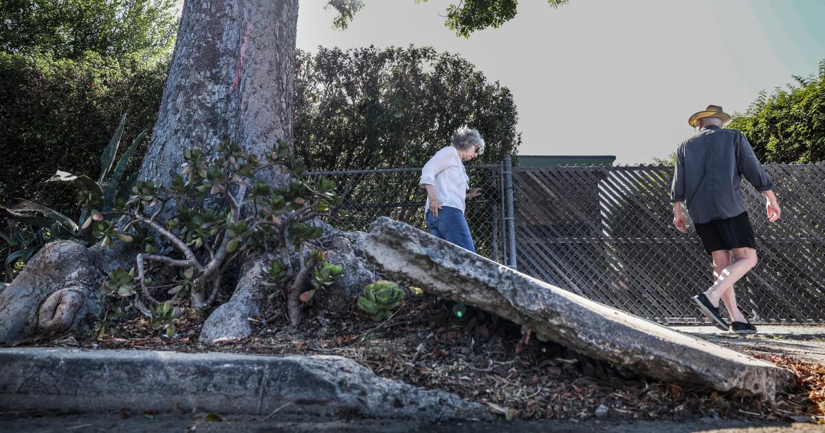 Contributor: Who should keep sidewalks passable? Denver solved the dilemma