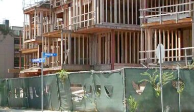 Abandoned West Hollywood construction site becomes 'coyote condo' with nighttime howls