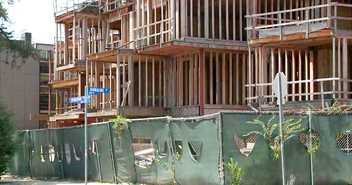 Abandoned West Hollywood construction site becomes 'coyote condo' with nighttime howls