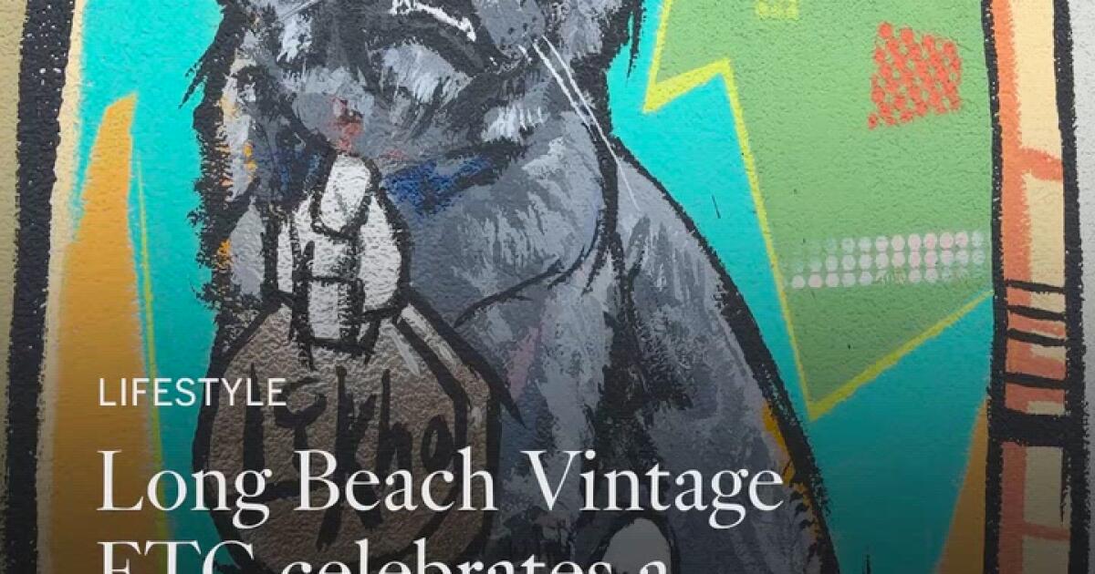 Long Beach Vintage ETC celebrates one-eyed cat’s 15th birthday