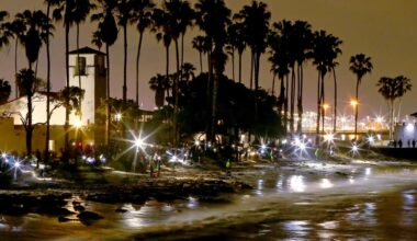 It's time for the night trip to the beach -- the grunion are running