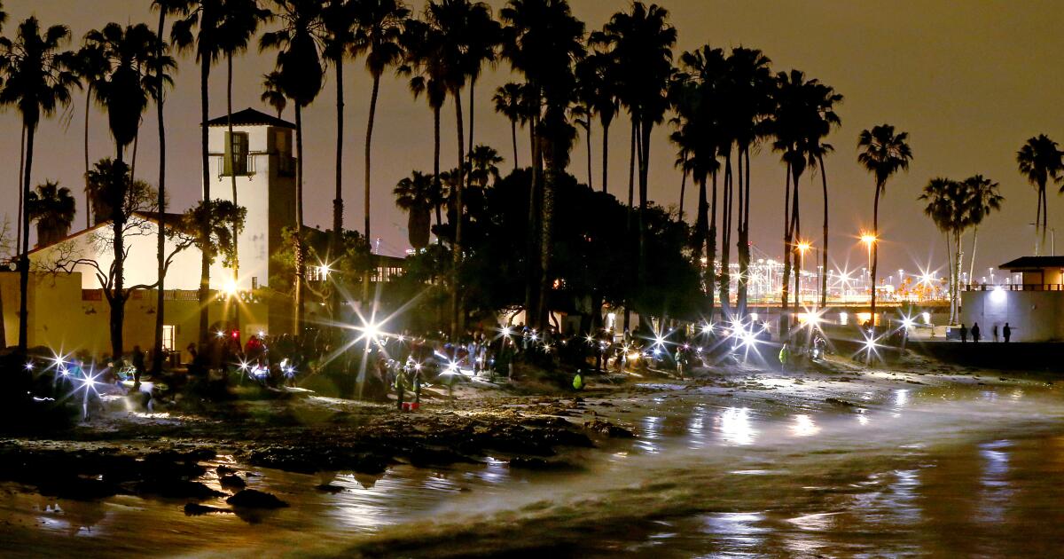 It's time for the night trip to the beach -- the grunion are running