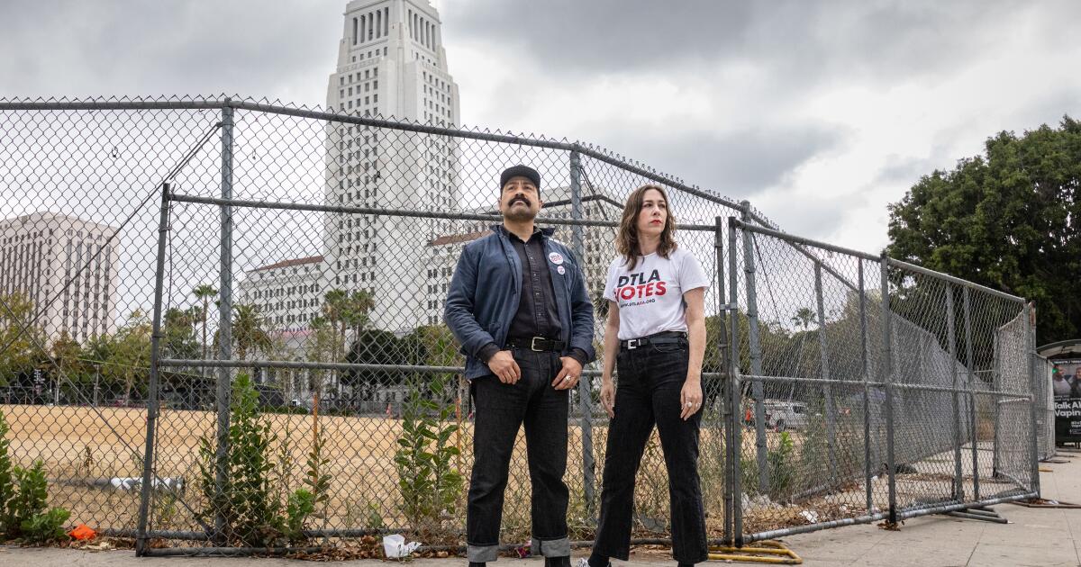 A vacant lot near City Hall will become an art park. Why are some people objecting?
