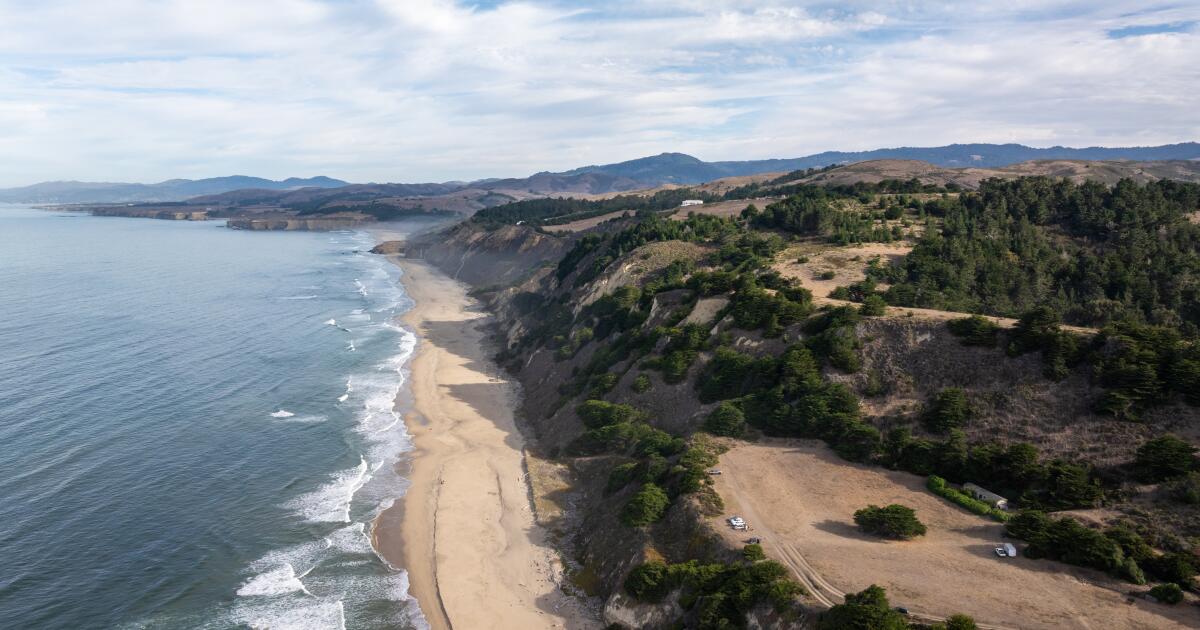 San Gregorio nude beach to become part of public state park