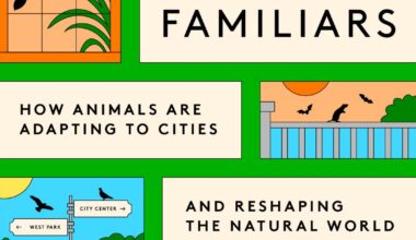 Dan Werb on 'Our Wild Familiars,' his new book about animals in cities