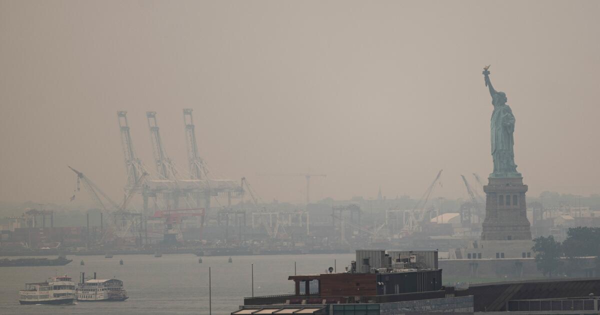 World Cup appears to have dodged worse wildfire smoke