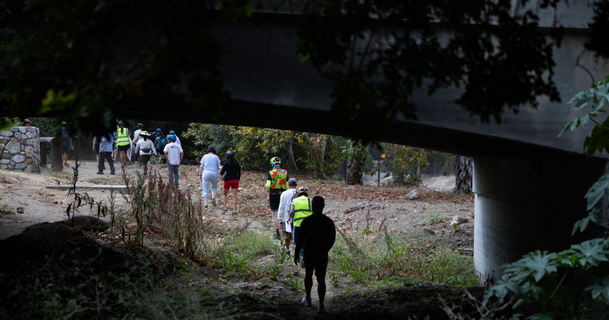 Why Pasadena residents are fighting an Arroyo Seco wetlands plan