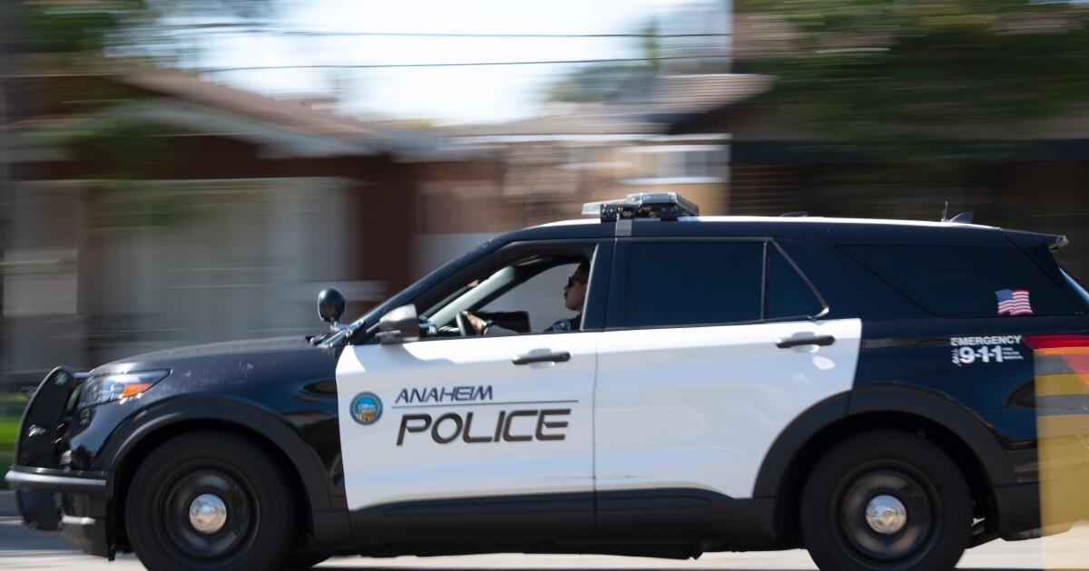 Overtime hours for Anaheim police patrolling Disneyland under review