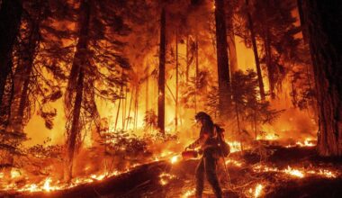 Man convicted of causing Park fire, one of California's largest blazes