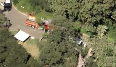SoCal boy killed by tree branch at camp; $19.3M settlement reached