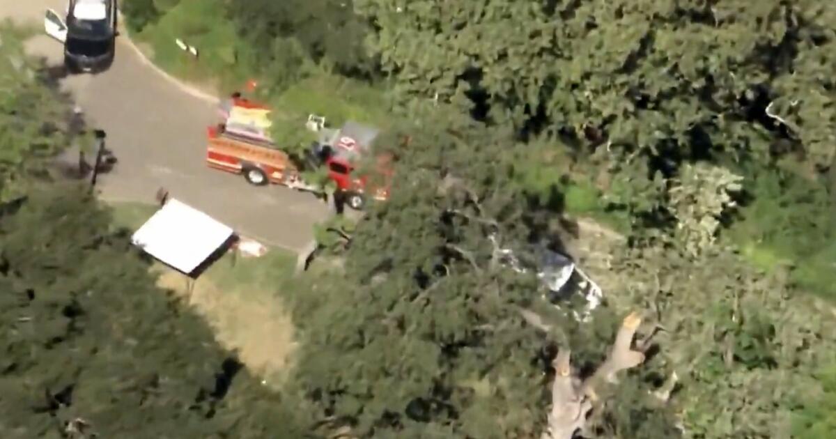 SoCal boy killed by tree branch at camp; $19.3M settlement reached
