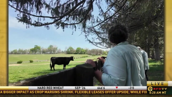 Before America Was Born, Virginia's Oakland Green Farm Was Already Building an Agricultural Legacy