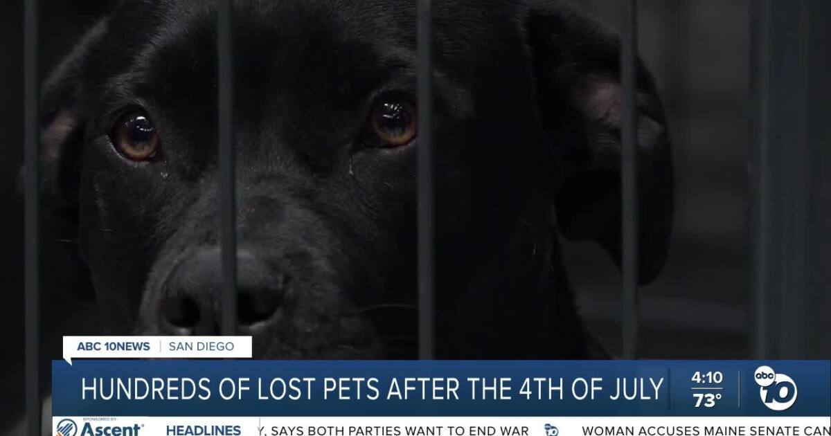 San Diego Humane Society helps reunite lost pets after Fourth of July fireworks