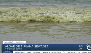 Brown water at Coronado Beach: Algae bloom or Tijuana sewage?