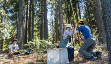California can’t replant its forests fast enough to keep up with wildfires