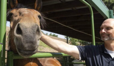 Sacramento PD axes mounted unit, reassigns officers to patrol