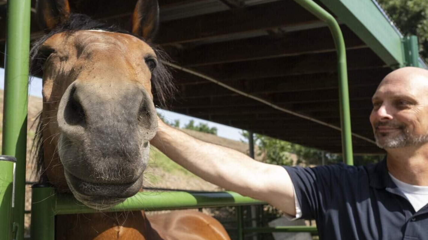 Sacramento PD axes mounted unit, reassigns officers to patrol