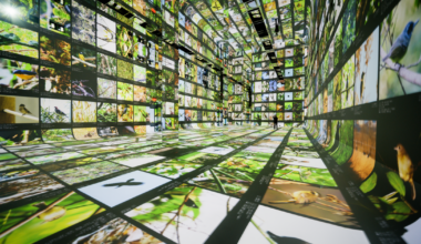 'Machines are collaborators' at this new museum of AI art