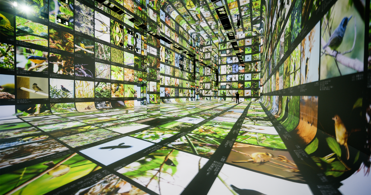 'Machines are collaborators' at this new museum of AI art