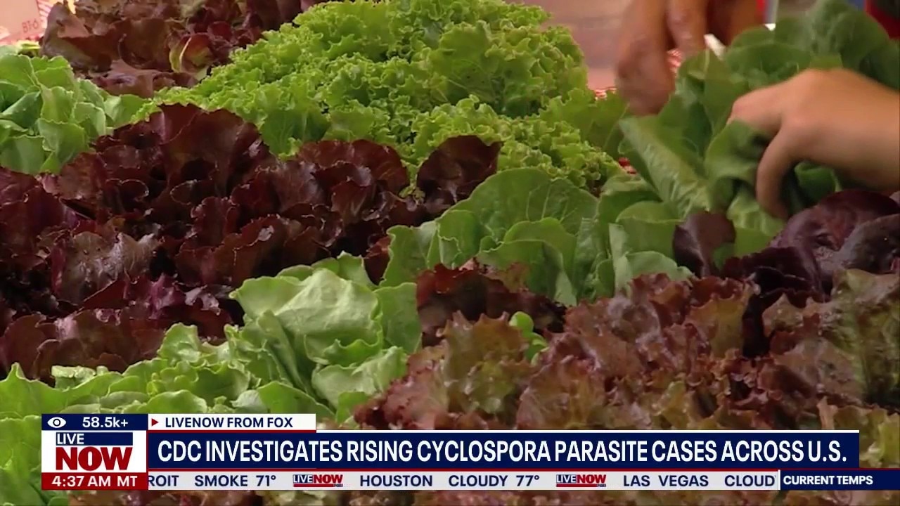 CDC investigates rising Cyclospora parasite cases