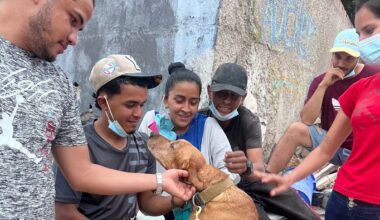 LA County K-9s offer comfort to Venezuelans – NBC Los Angeles