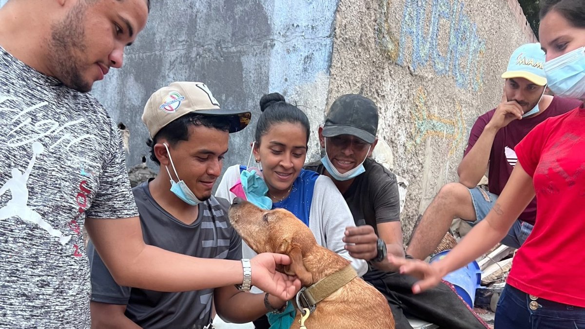 LA County K-9s offer comfort to Venezuelans – NBC Los Angeles