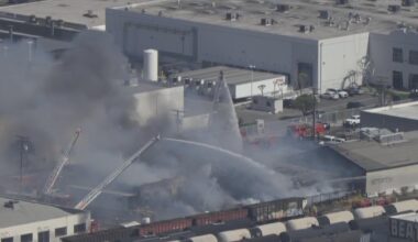 Fire engulfs commercial building in Vernon