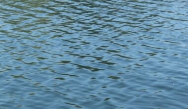 FID Extends Water Deliveries for Farmers