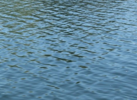 FID Extends Water Deliveries for Farmers