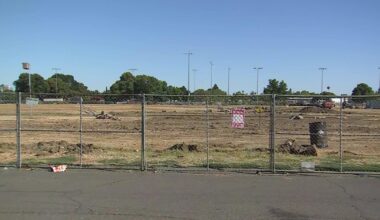 Neighbors divided after 28 mature trees removed for Bryte Park in West Sacramento