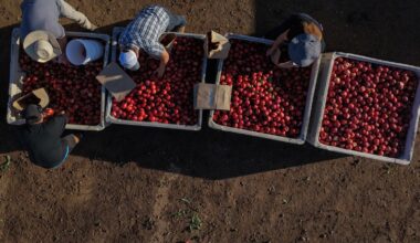 California farmer and food marketer spar over who can sell white nectarines