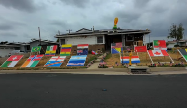 Soccer fan turns his front yard into a World Cup bracket display – NBC Los Angeles