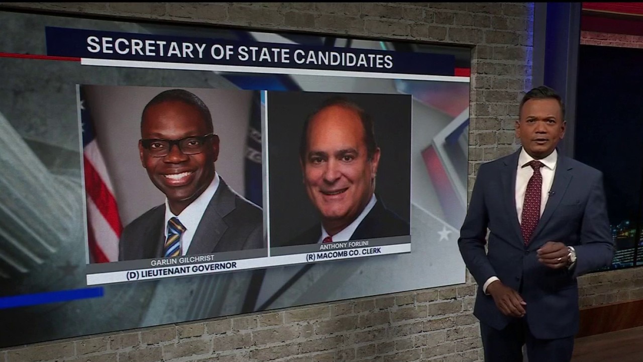 Should Michigan switch to a primary system for all state offices?