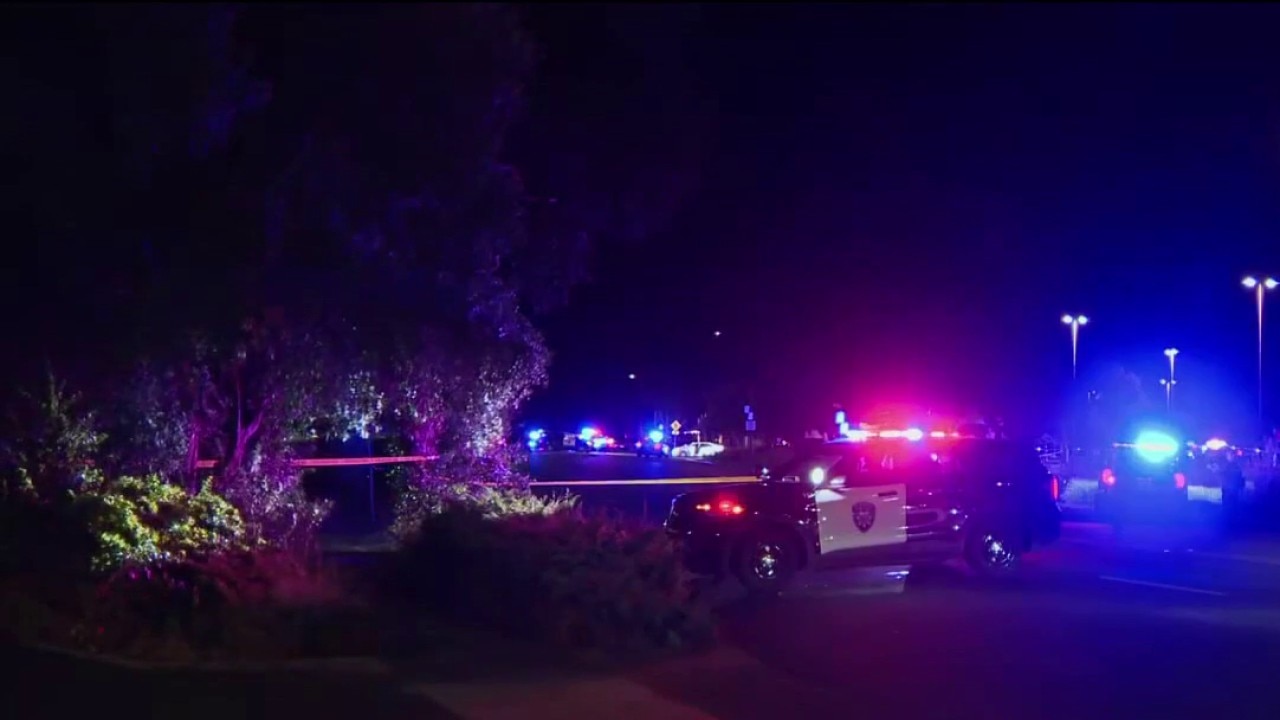 Two shot after latest Alameda 'beach takeover'