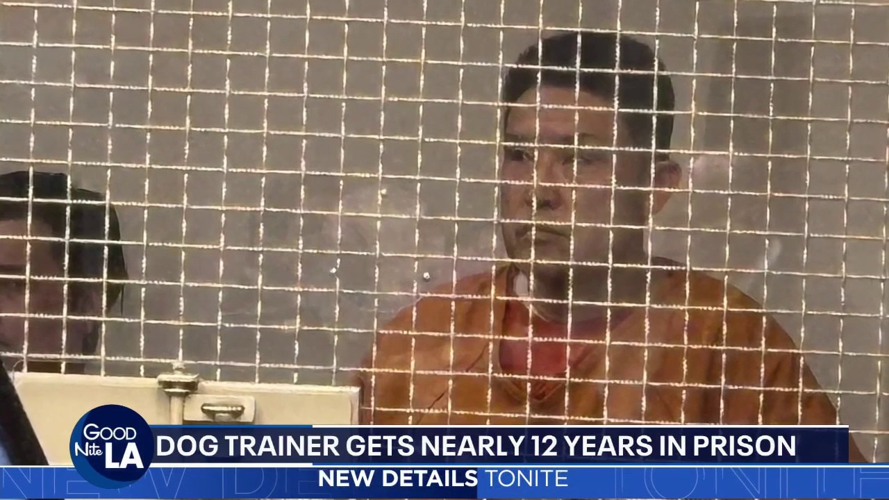 Irvine dog trainer gets 12 years for killing 11 dogs