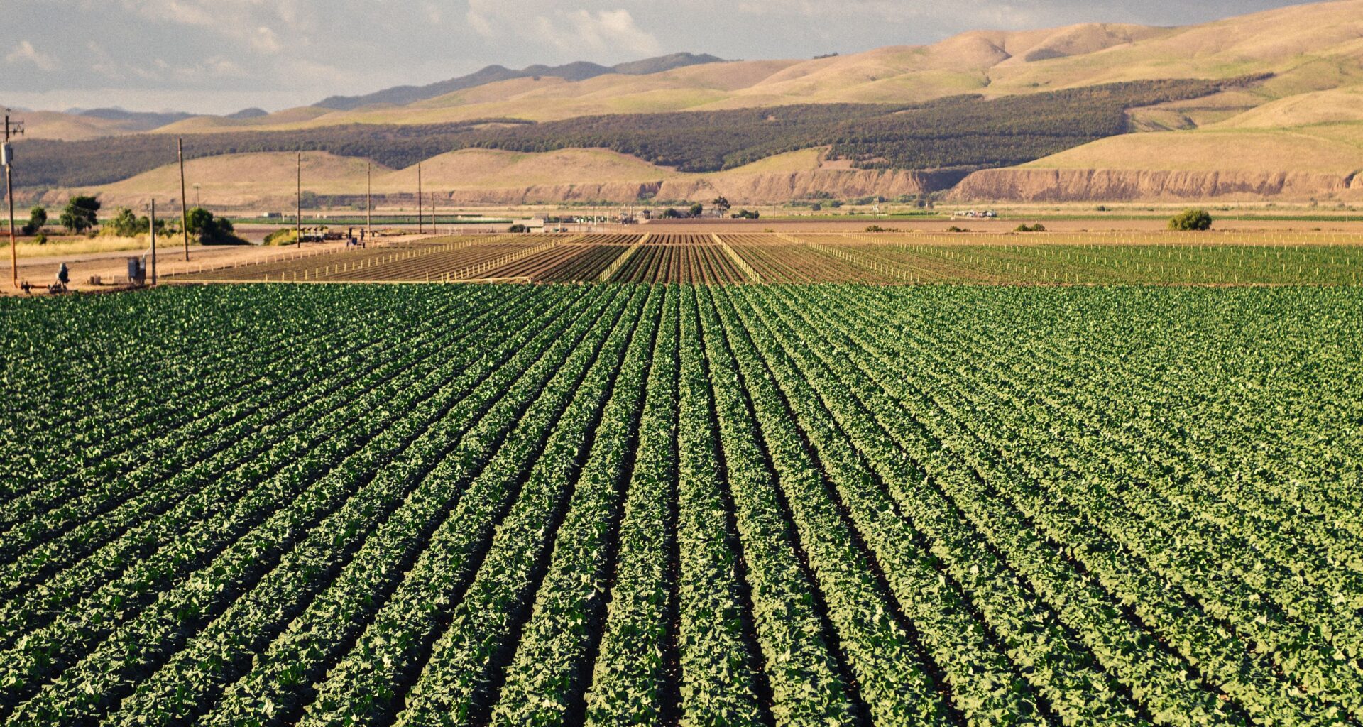 Relation Insurance acquires Fresno ag agency in third agricultural deal of 2026