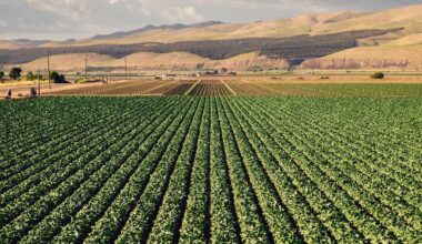 Relation Insurance acquires Fresno ag agency in third agricultural deal of 2026
