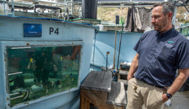 How the Aquarium of the Pacific scrambled to save hundreds of sea creatures after 2 massive smuggling busts • Long Beach Post News