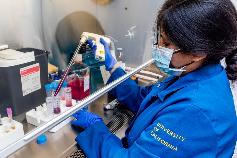 A person in a blue jacket, wearing a medical mask and blue latex gloves, uses medical equipment to place a blood sample into a beaker behind protective glass in a laboratory.