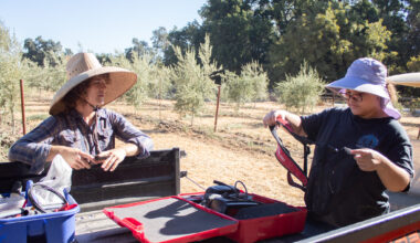 California drew the line on regenerative agriculture. Farmers are making sense of it