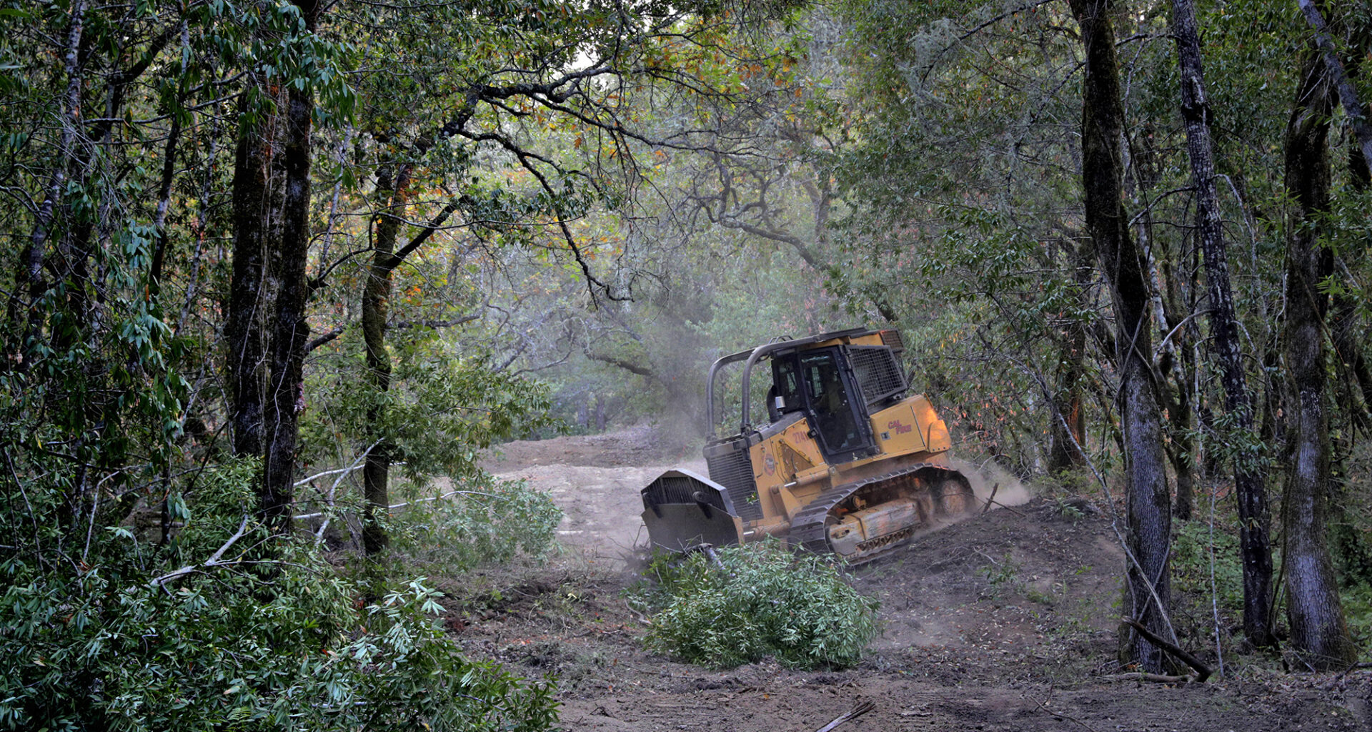 California can prevent wildfires, keep environmental rules