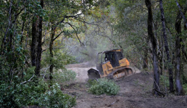 California can prevent wildfires, keep environmental rules
