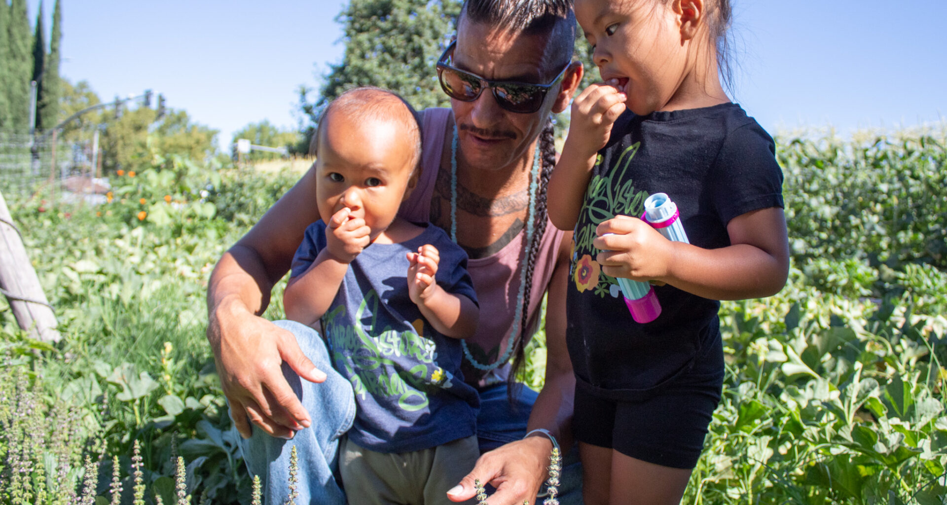 Sacramento-area farms increase access to fresh food through regenerative practices