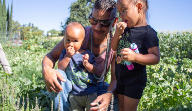 Sacramento-area farms increase access to fresh food through regenerative practices