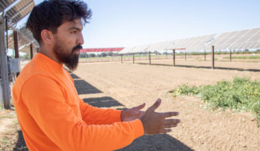Can California farmers produce solar energy alongside food?