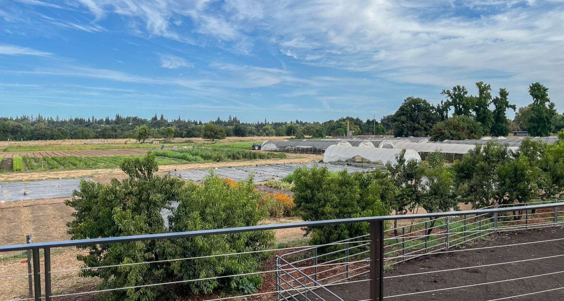 Can farming help restore an ecosystem? One Sacramento-area farm is trying