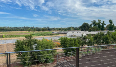 Can farming help restore an ecosystem? One Sacramento-area farm is trying