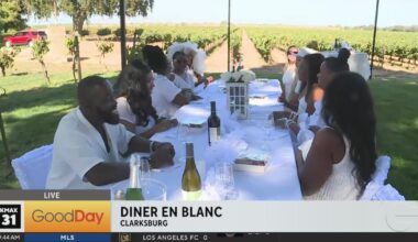 Diner en Blanc - Good Day Sacramento
