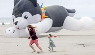 Kite fest soars above Long Beach: Enthusiasts overcome iffy weather at well-attended event